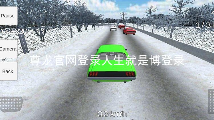 尊龙官网登录人生就是博登录