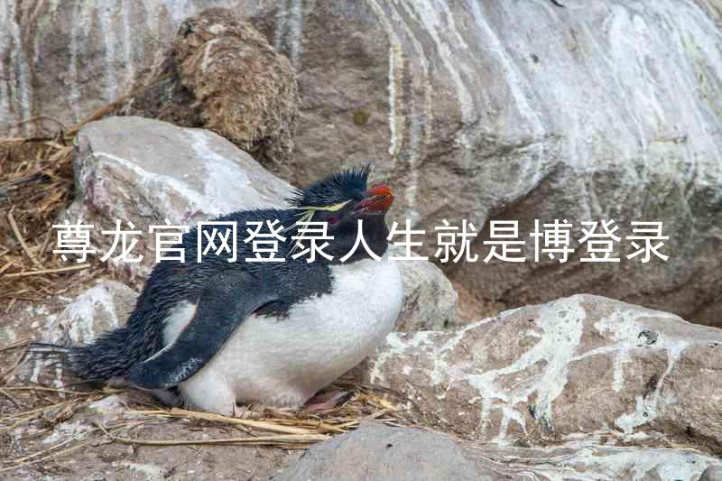尊龙官网登录人生就是博登录