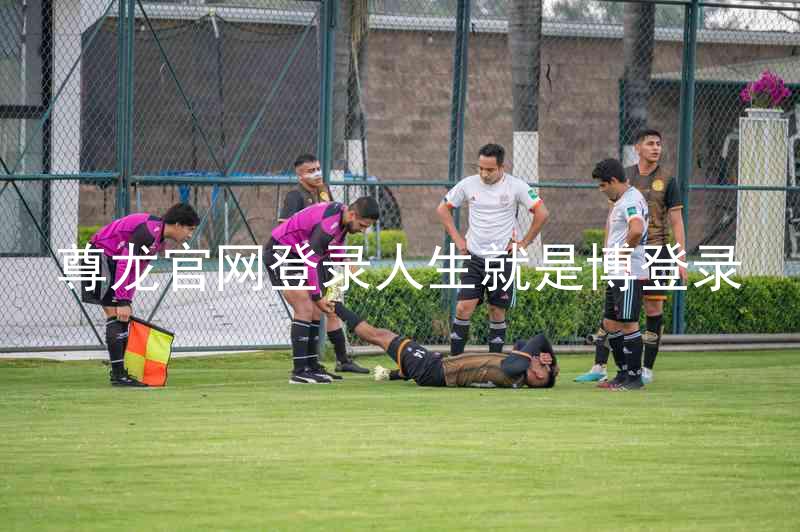 尊龙官网登录人生就是博登录